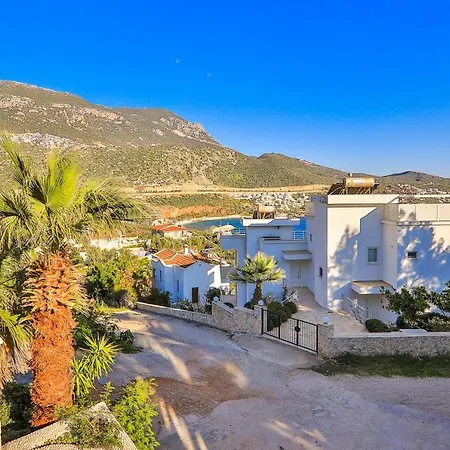 Violet Luxury Apartments Daire *